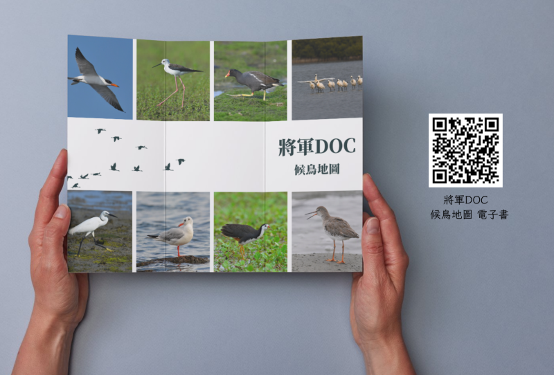 歡迎大家來閱讀《將軍候鳥生態電子書》~