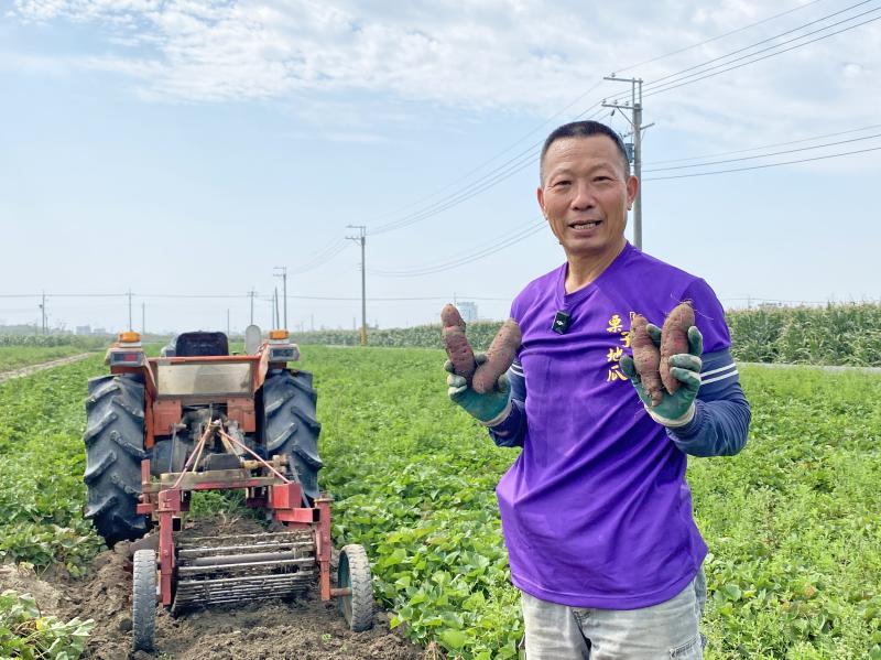 DOC職人店家，下營薯來寶 曾价源老闆，有機種植栗子地瓜。