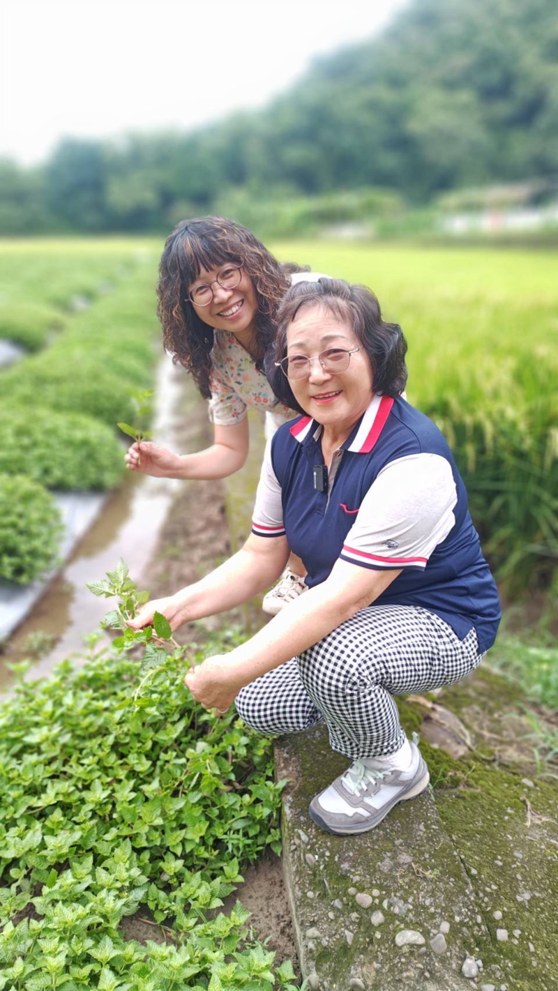 你看過仙草嗎? 這就是仙草唷!!