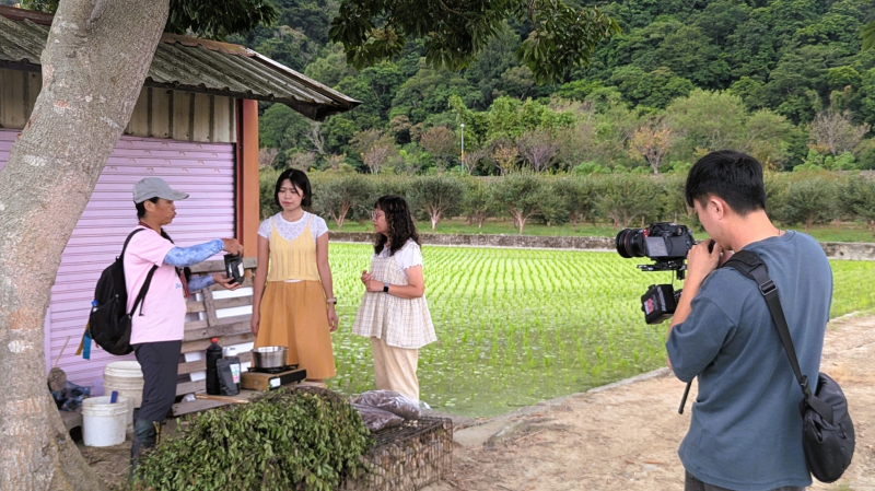 繆繆介紹仙草一分田採收仙草製成茶包