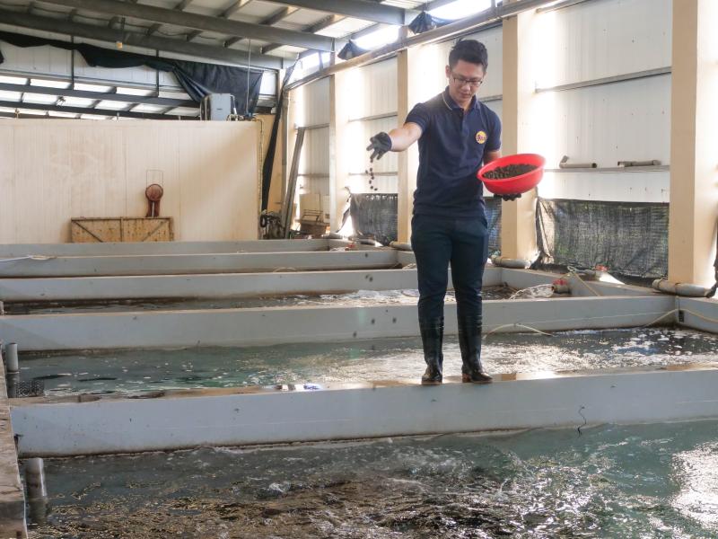 使用環保飼料 減少對生態的負擔