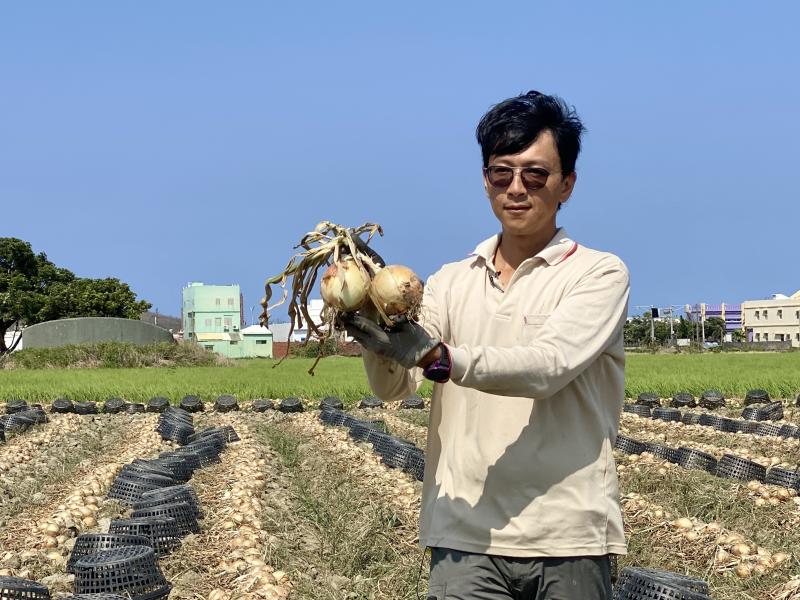 DOC職人鐵人洋蔥 古呈煥老闆，巡視洋蔥田並親自採收。