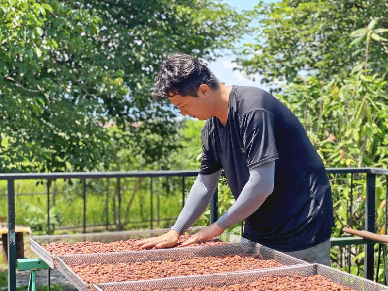 林政弘老闆正在日曬可可豆。