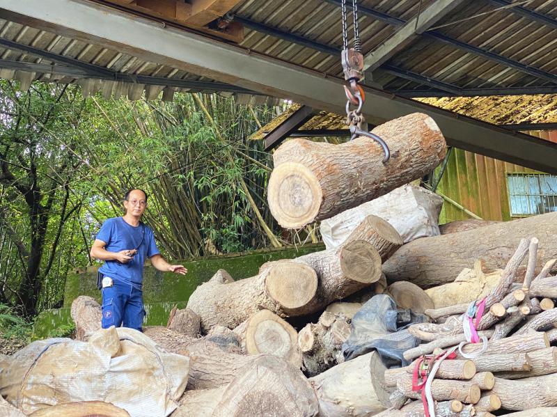 挑選木材也是不容易的事，要爬高用機器吊出適合的木頭。