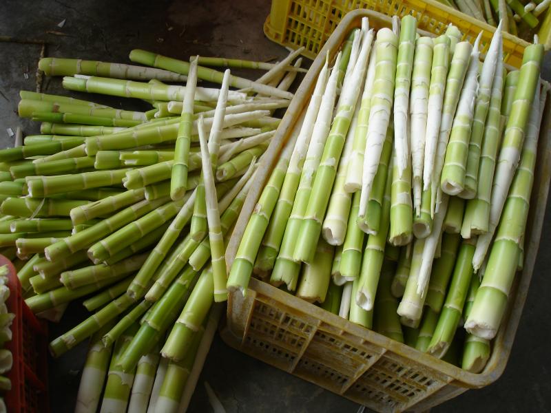 泰安鄉農特產--桂竹筍。