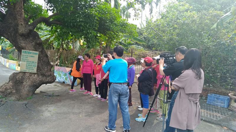 超像老爺爺的老樹超親切