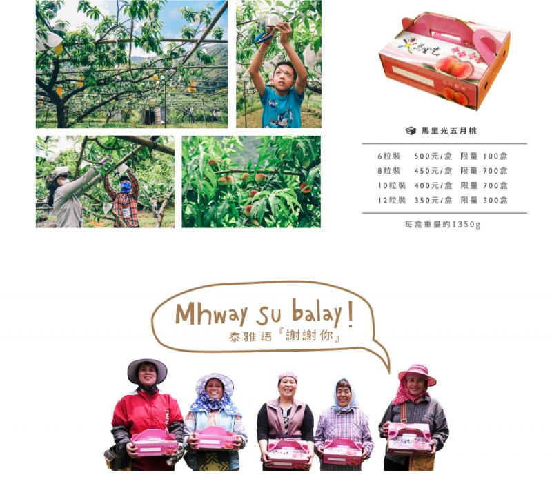 「馬里光五月桃」集團團購電子報。