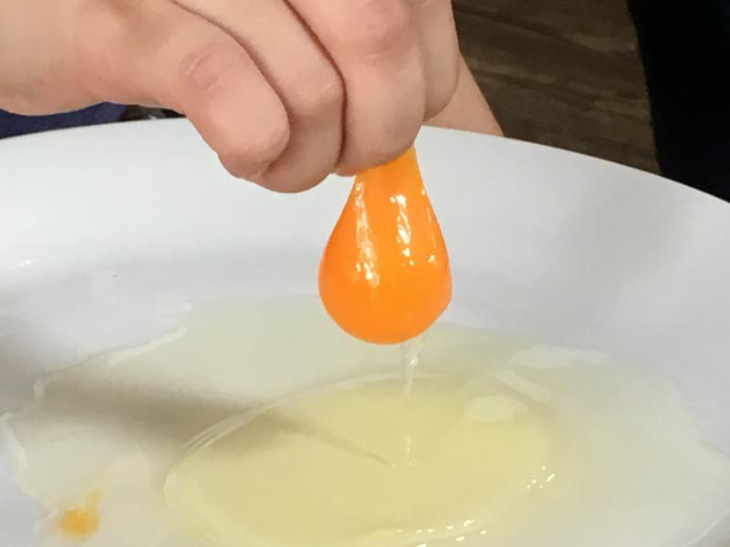 健康的麒雞蛋可以手抓取整顆蛋黃
