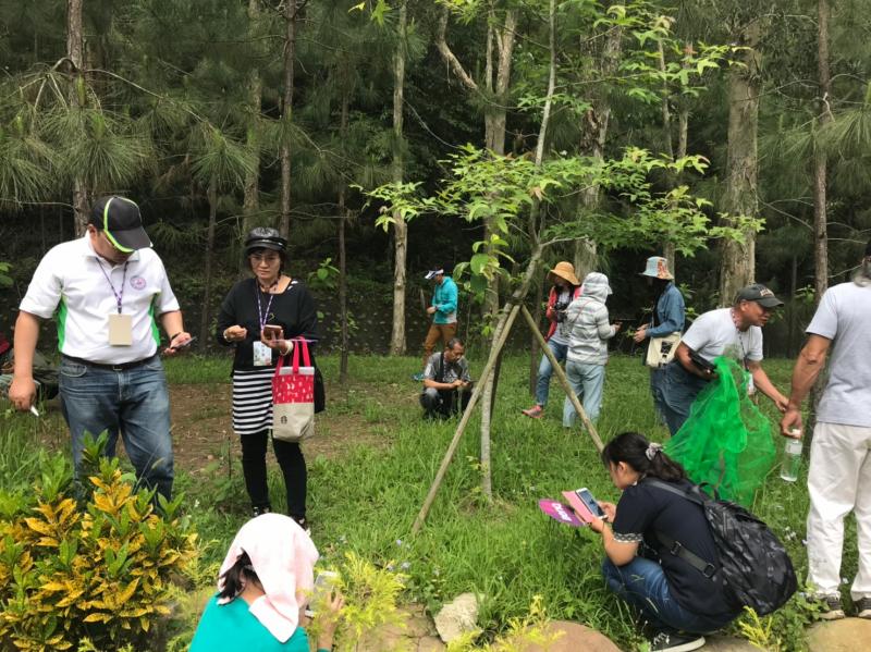 接觸我們常忽略的雜草