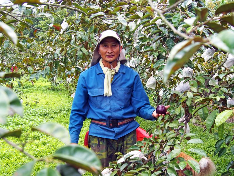 清翠果園的江永清大哥非常好客，他經營的果園栽種美味多汁的牛奶果，透過學員的拍攝紀錄，聽到他與妻子辛苦的創業故事。