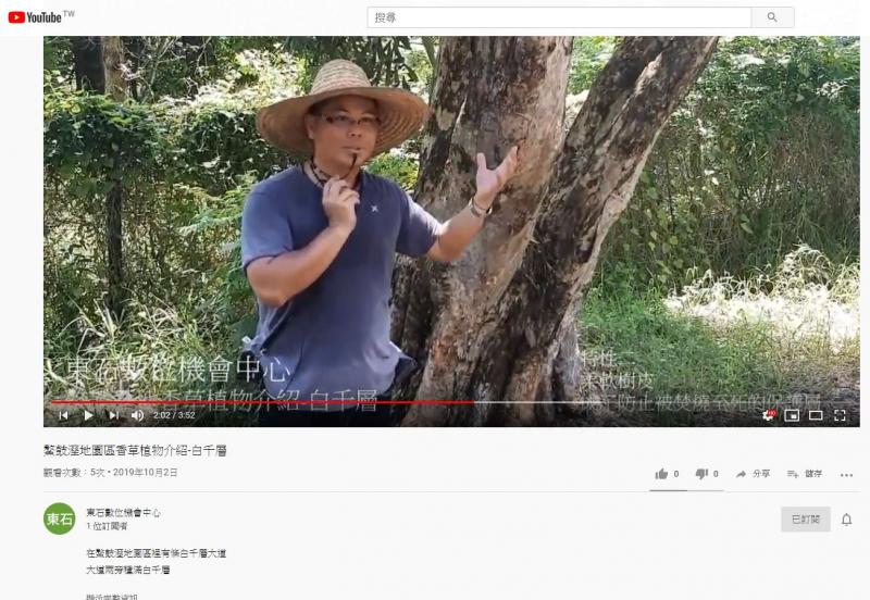 東石DOC影音紀錄鰲鼓溼地介紹香草植物-白千層