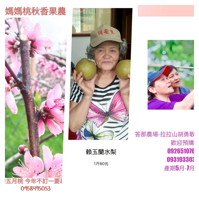 學生自製圖文I