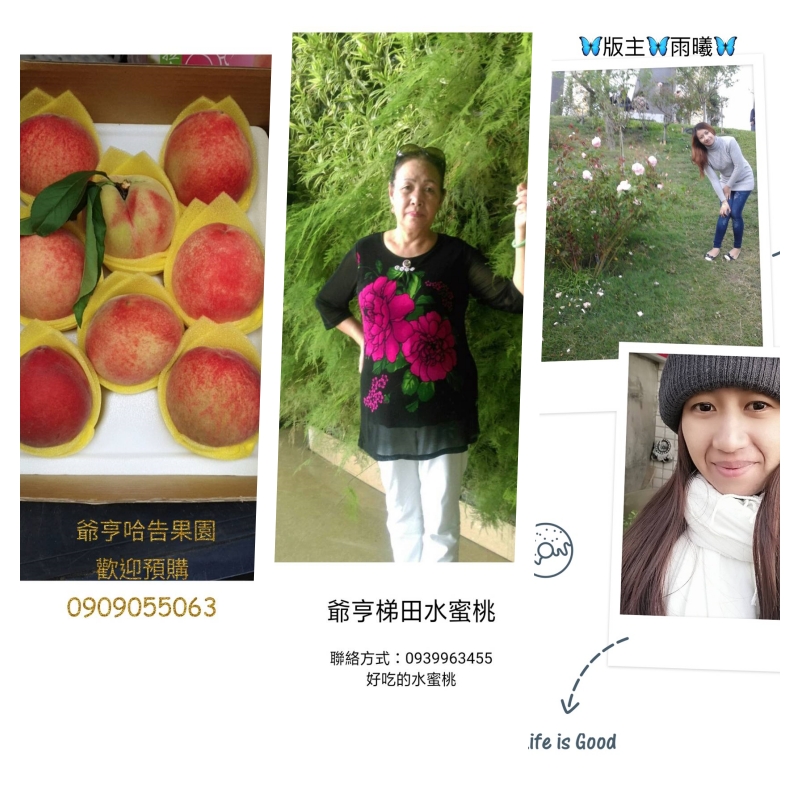 學生自製圖文II