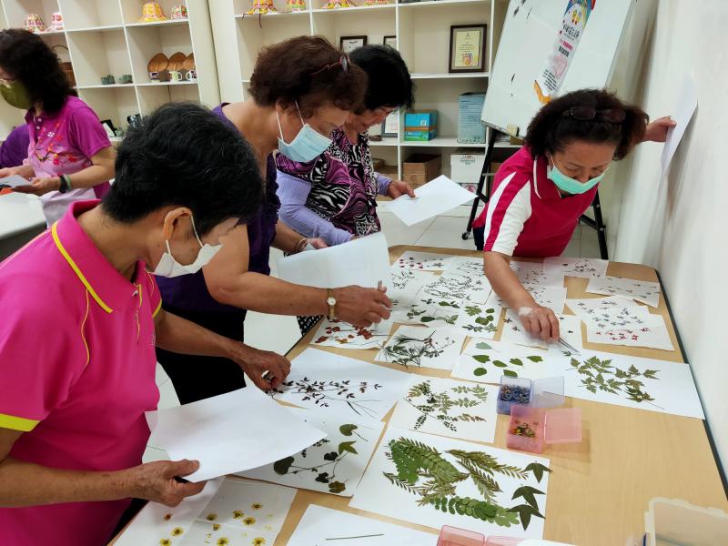 挑選花花草草
