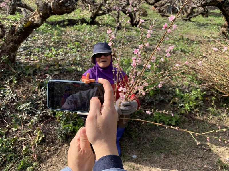 果園中桃花很美，認真的農友更美。
邊剪枝邊學習如何互相幫忙拍下好看的工作中照片。
