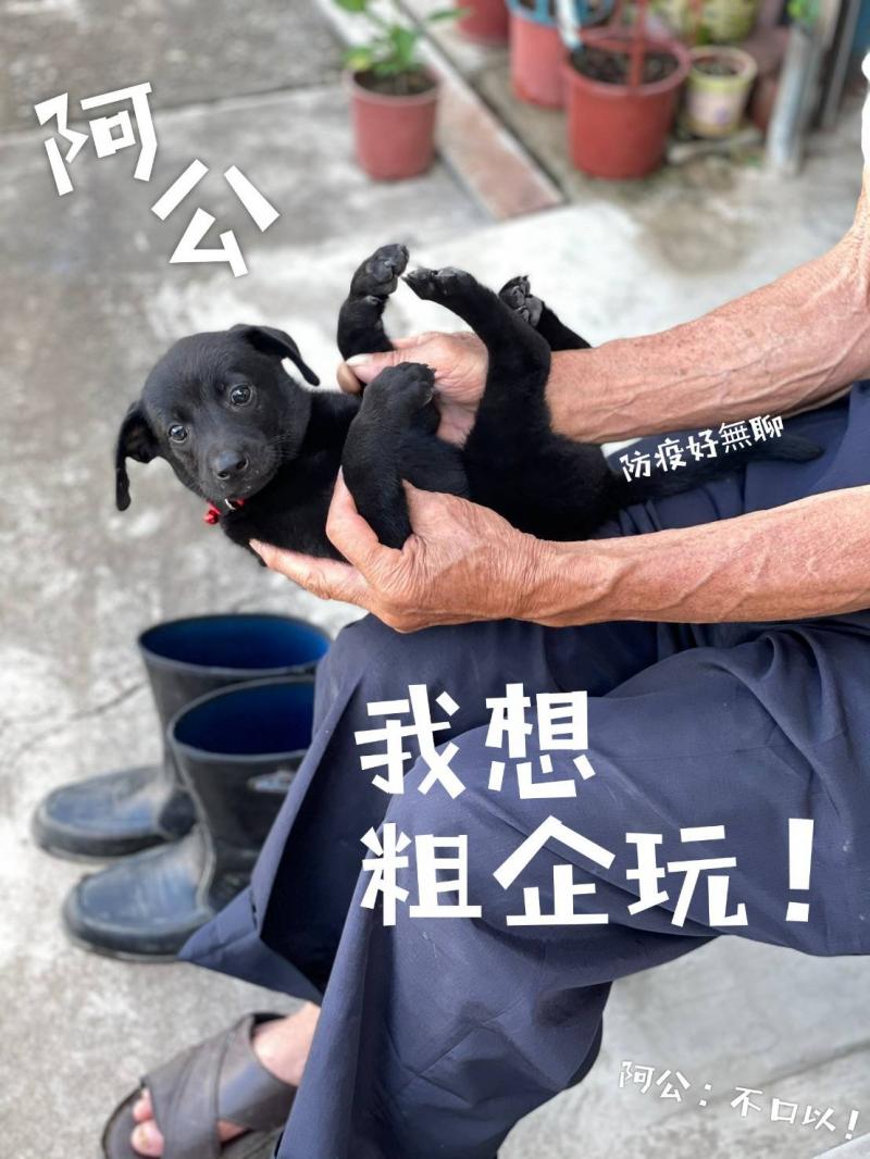疫情期間，圖文問候更顯重要，透過圖文傳達彼此對生活以及朋友們的思念。