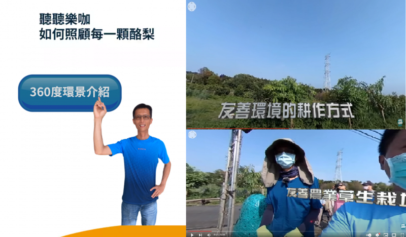 小農一頁網網站販售精品單品水果:酪梨