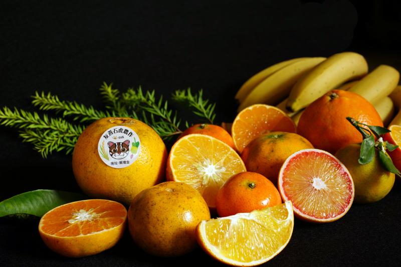 金碧果園所種植的柑橘是經過友善石虎農作的認證