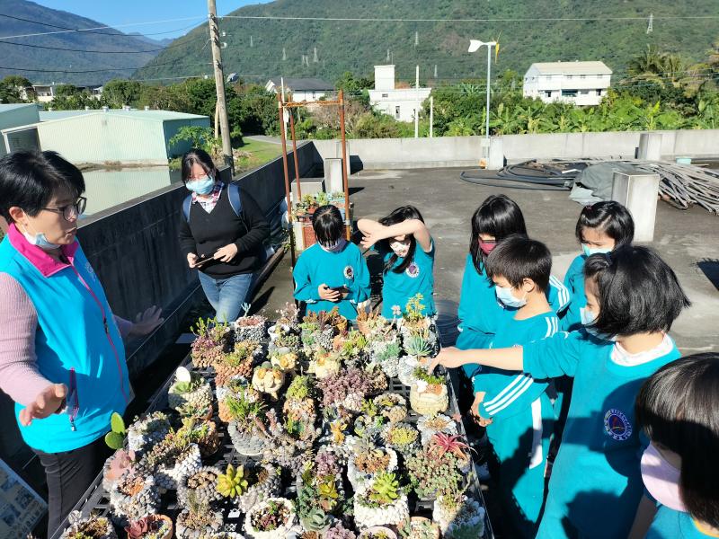 介紹社區空中多肉植物園