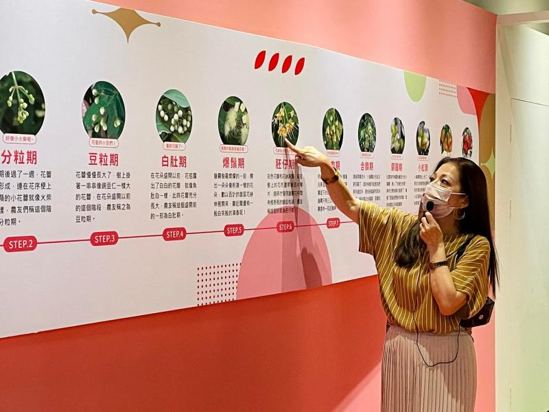 佳冬農會林淑玲總幹事分享蓮霧農業知識與品牌經營的經驗