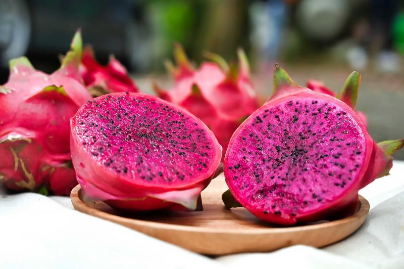 戴金相火龍果剖面圖