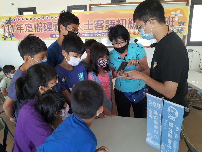 鍬型蟲的幼蟲教學展示