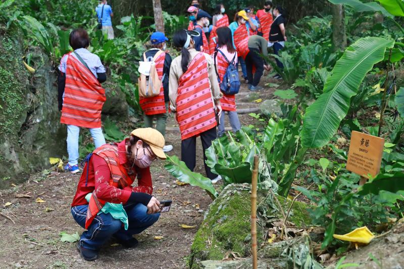 秀林DOC開設「攝影與修圖技巧班」，並搭配在地協會開設文化體驗小旅行課程，讓民眾認識太魯閣族山林文化，也認識戶外各種野生植物。