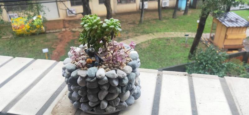 DIY砌石盆栽搭配多肉植物，成為一個療癒心靈的小植栽