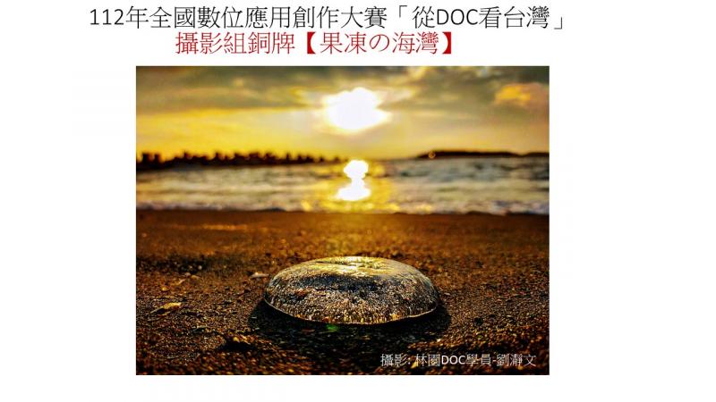 維多利亞多管發光水母（又名水晶果凍水母）近年來數度造訪林園海岸，劉藉由該作品凸顯生態與林園石化工業區衝突。