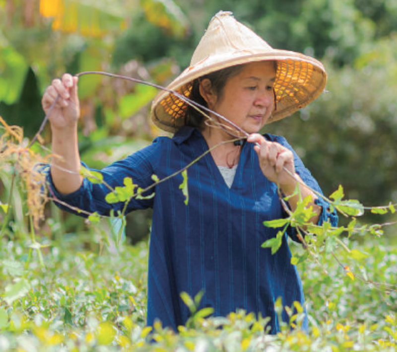 沙坑紅寶經紀人—徐秀蓉