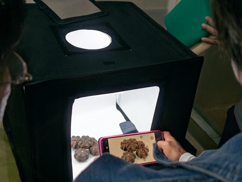 拍攝地點：富光國中 / 關西DOC
小農攜帶自己的農特產，透過小攝影棚，練習商品攝影。
 