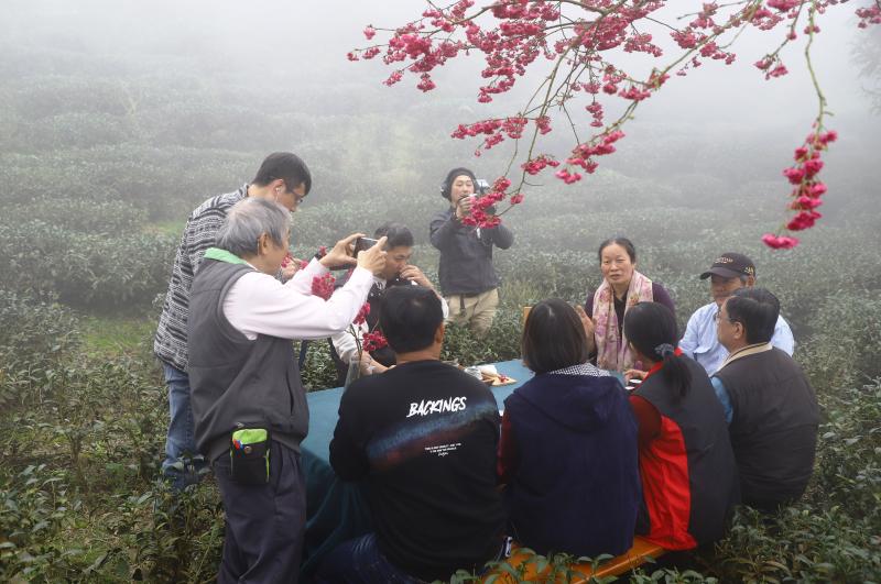 社區影音拍攝課程時，我們在櫻花下茶園中擺設茶席 , 採訪觀音瀑布合作社劉理事主席及金獅村總幹事及執行秘書,採訪的拍攝過程中，雲霧瀰漫，大家親身體驗到了自然美景的震撼，捕捉到了一幅幅如仙境般的畫面。