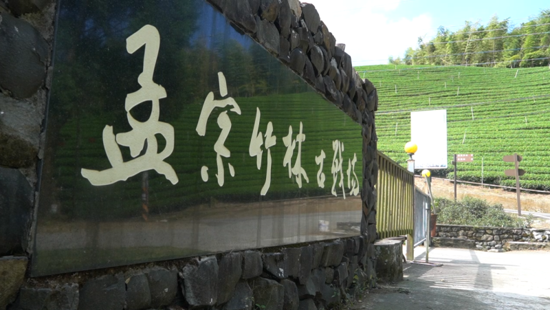 孟宗竹林古戰場入口處