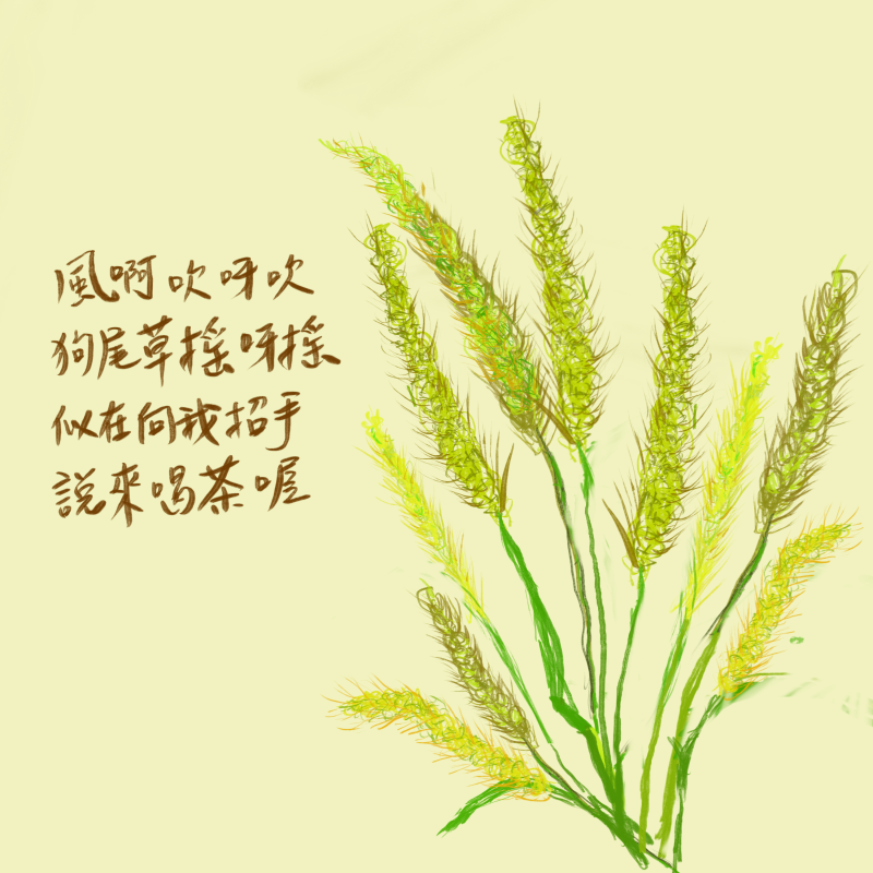 拍攝地點：頭屋 DOC / 頭屋 DOC
 
頭屋 DOC《大地採集─我是公民科學家》課程帶領學員以採集與觀察記錄自然，並使用 iNaturalist 建置筆記。學員以平板繪製植物樣貌，用文字寫下與大地的情話，讓自然成為最溫柔的老師。