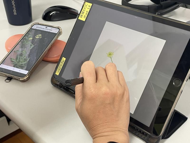 拍攝地點：頭屋 DOC / 頭屋 DOC
 
學員將戶外採集到的植物，以平板細緻描繪成心中的樣貌。透過觀察、記錄與創作，讓自然的細節在筆下重新被看見。