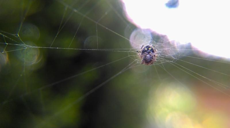 呈現出專業級的相片