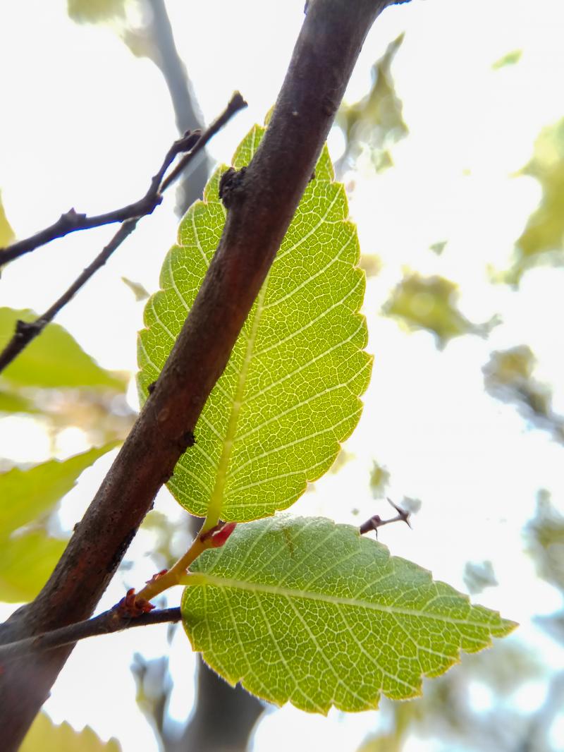 換個角度別有洞天