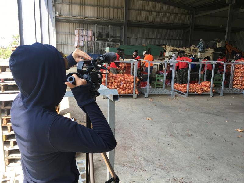 洋蔥工廠實機取鏡