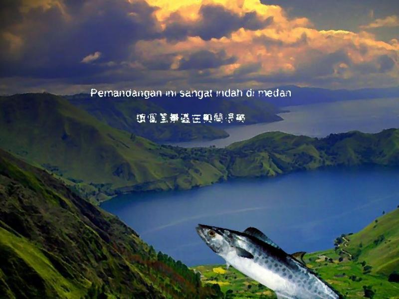 新住民分享自己國家的風景照。