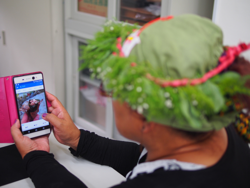 透過自己手機拍攝自家產品照片