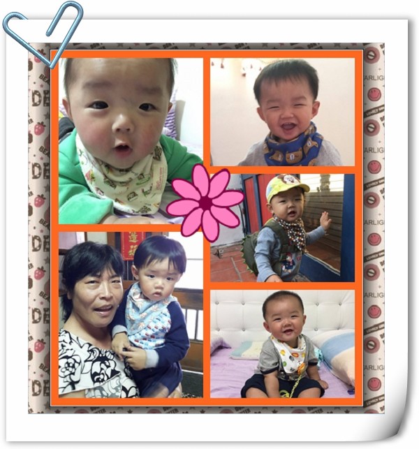 學員編修作品(使用拼貼功能、裁切、加外框....)