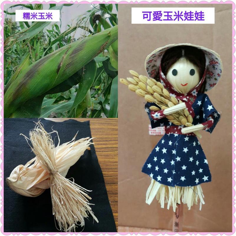 學員拍照