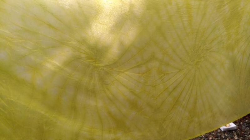 染布成品帶有綠色花紋