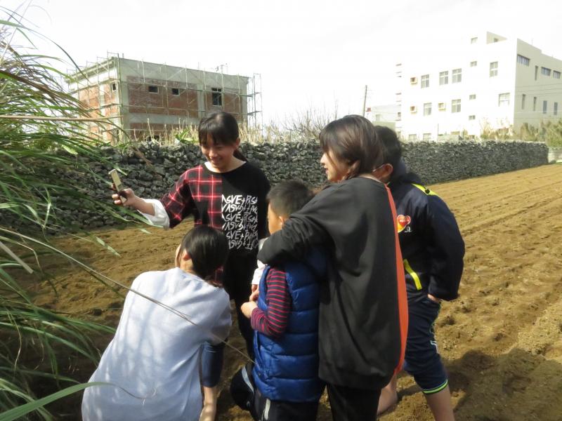 互相當麻豆，找個好位子，拍出美照