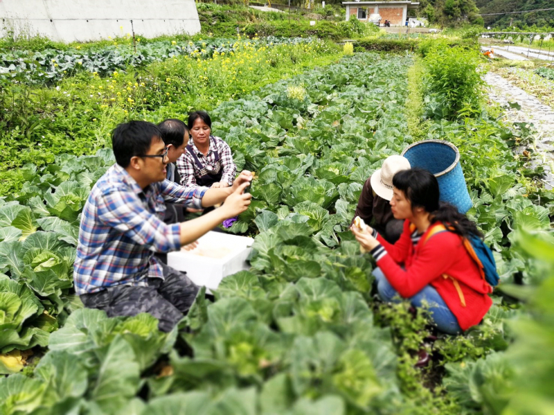 學員們到戶外菜園進行影片拍攝。