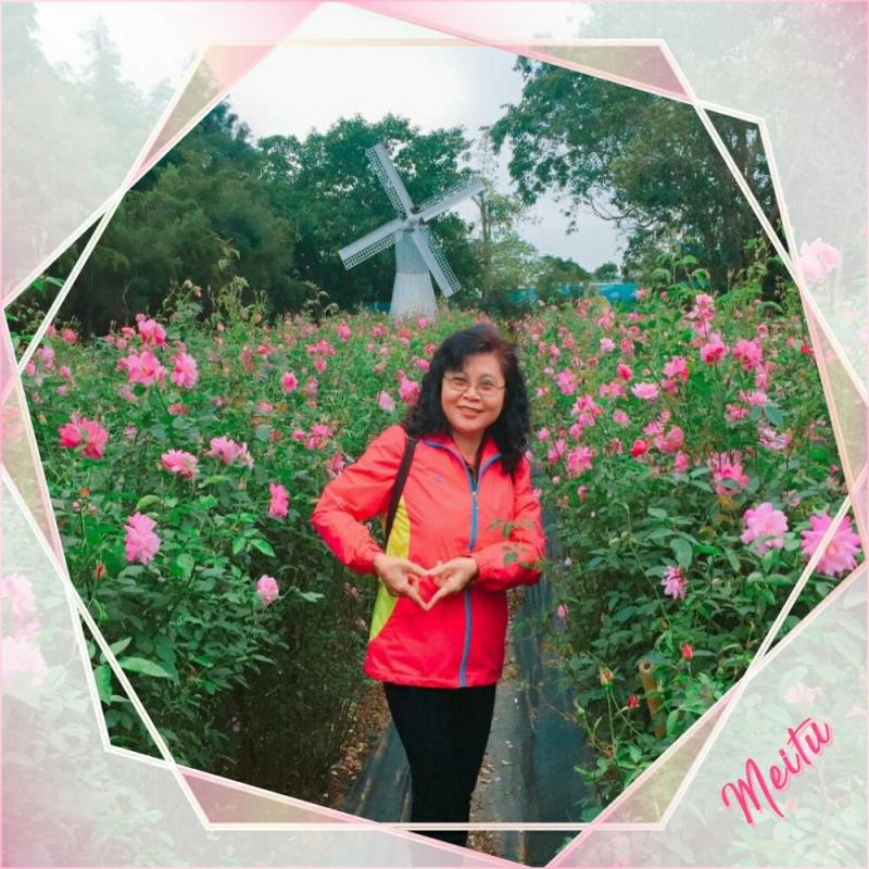 學員將出遊照片加工過後，照片顯得更生動有趣