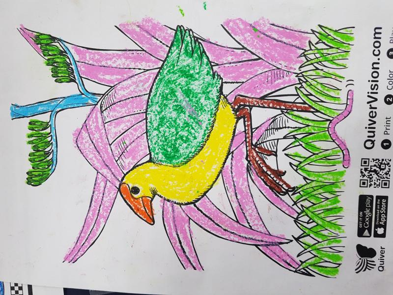 鳥兒會飛!真神奇!