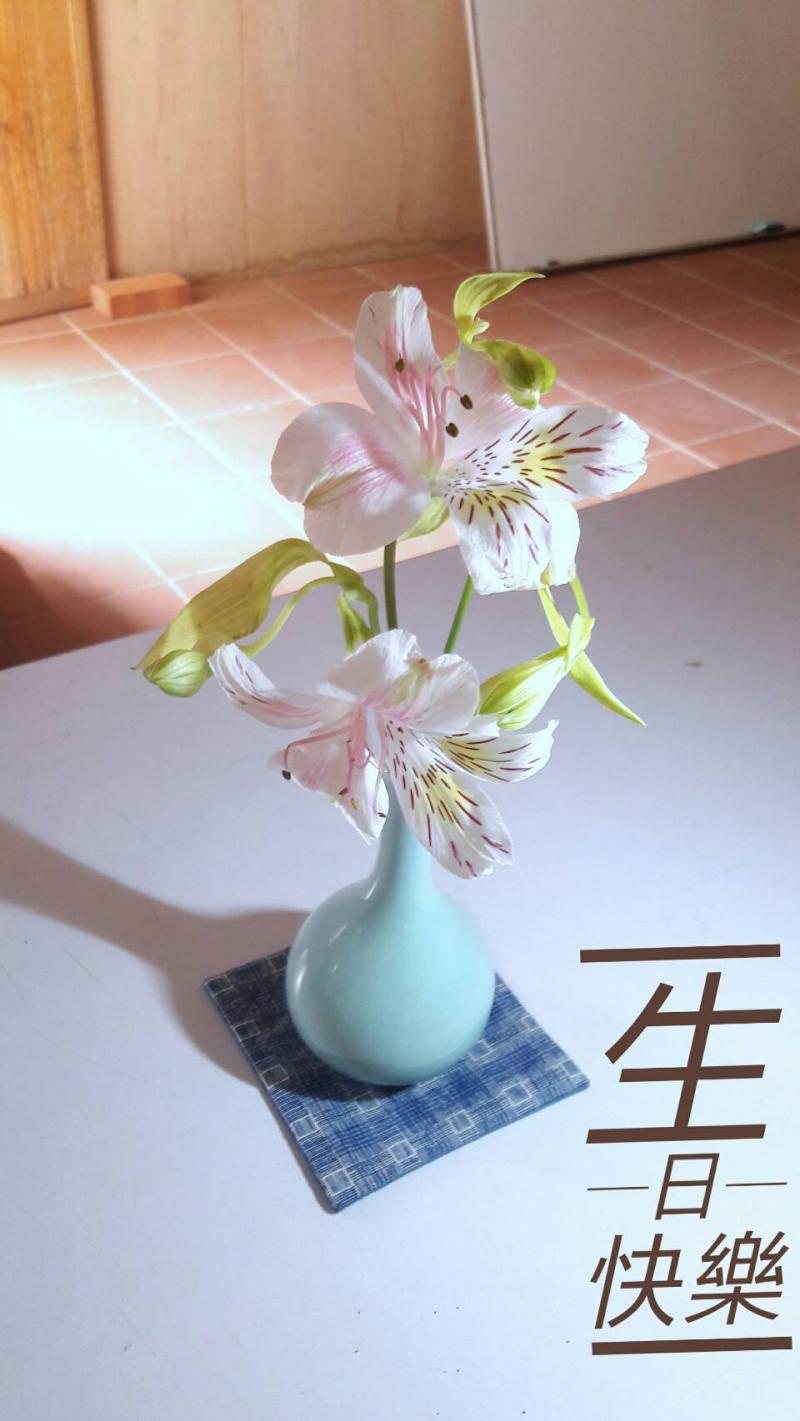 花朵的美麗