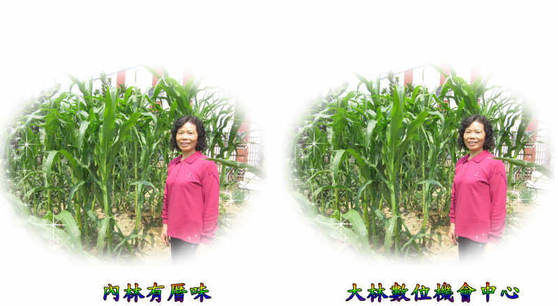 結合內林社區發展協會每週二上午舉辦的內林食堂-內林有厝味及大林數位機會中心的LOGO,加上簡氏家廟的庭園,成為相片拍攝的最佳場景,每位銀髮族都是最佳名模.