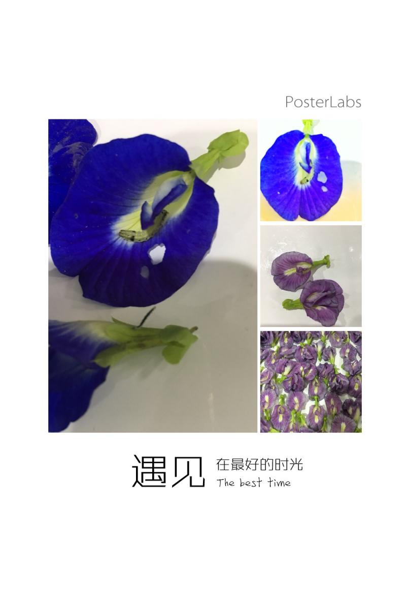 針對喜歡的事物做的海報